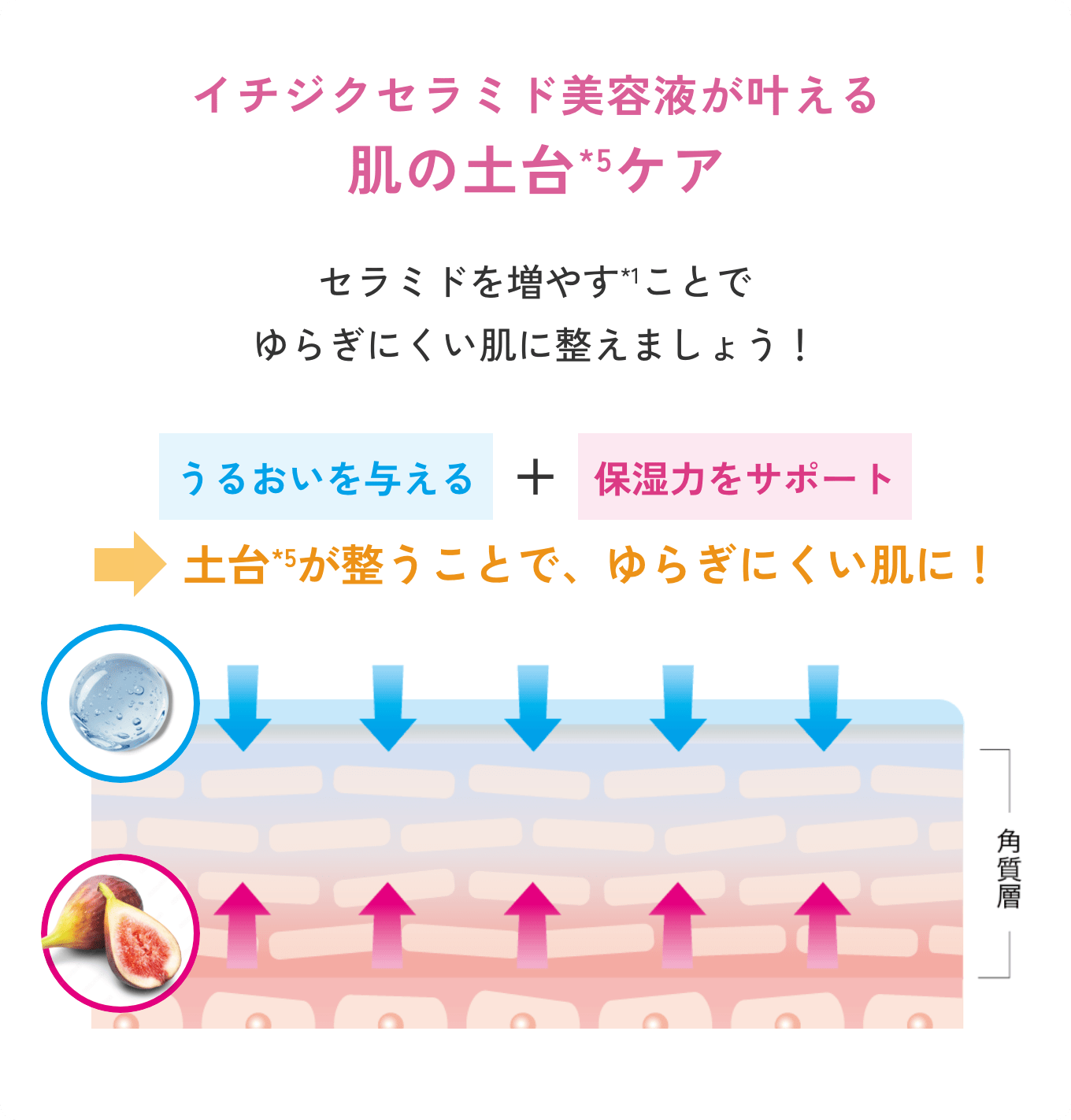どうして土台ケアが必要なの？ セラミドが減少し、肌のバリア機能が低下するとあらゆる肌トラブルの原因に。すこやかな肌を保つためには肌の土台から整えることが大切です。