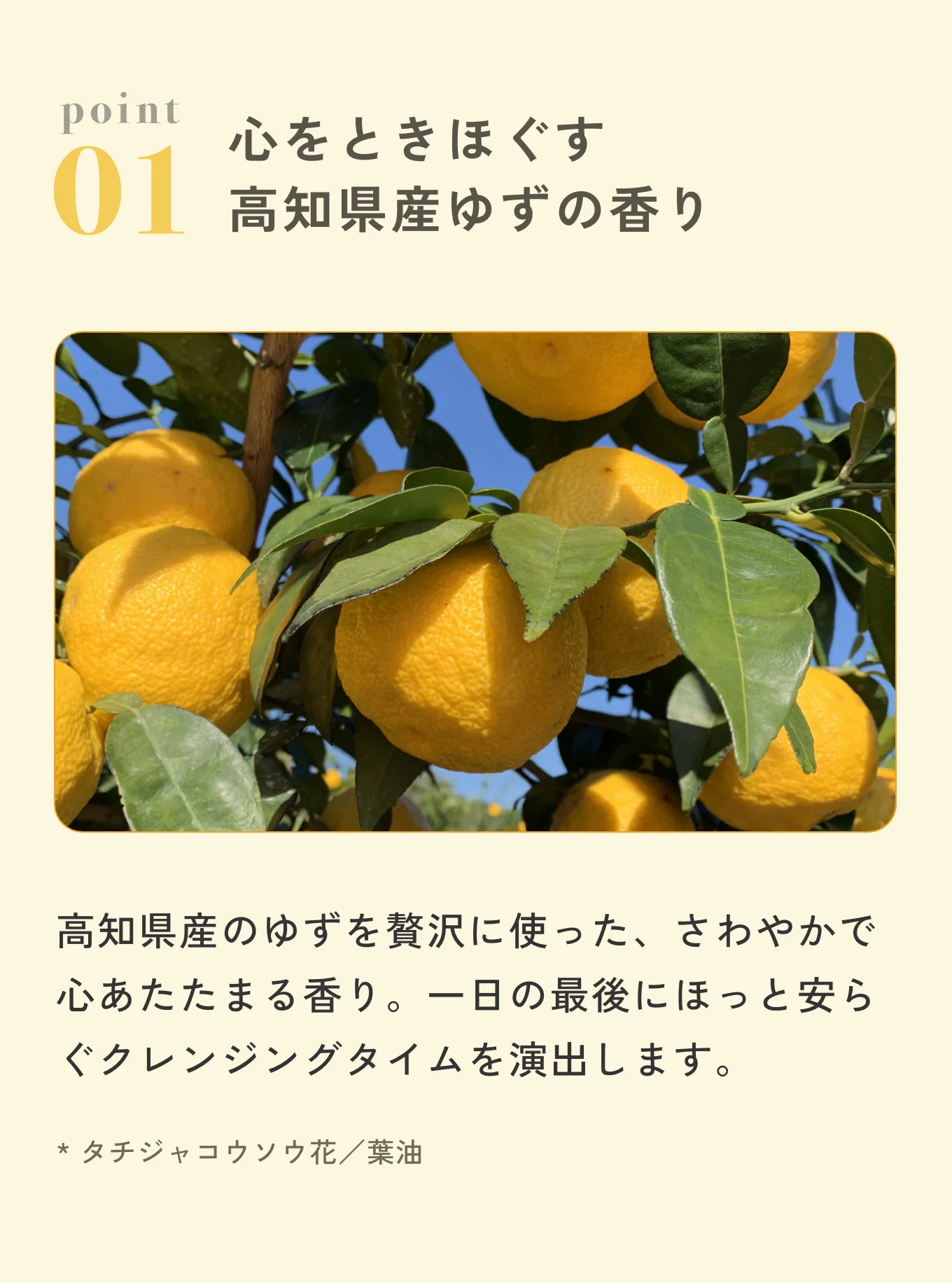 ポイント1 心をときほぐす高知県産ゆずの香り
