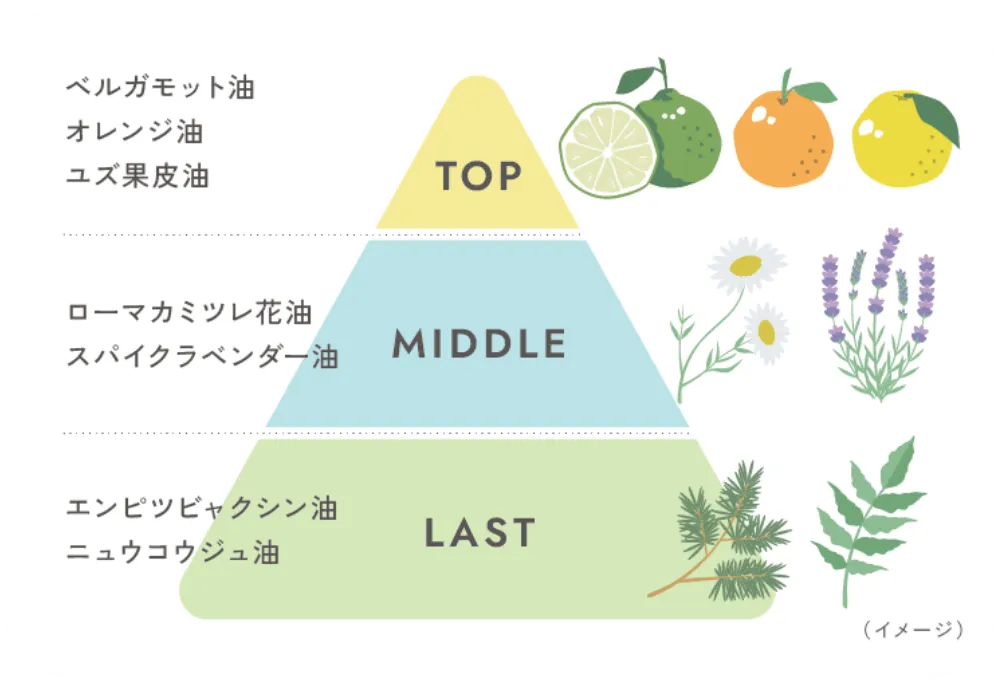 TOP:ベルガモット油 オレンジ油 ゆす皮油 MIDDLE:ローマカミツレ花油 スパイクラベンダー油 LAST:エンピツビャクシン油 ニュウコウジュ油