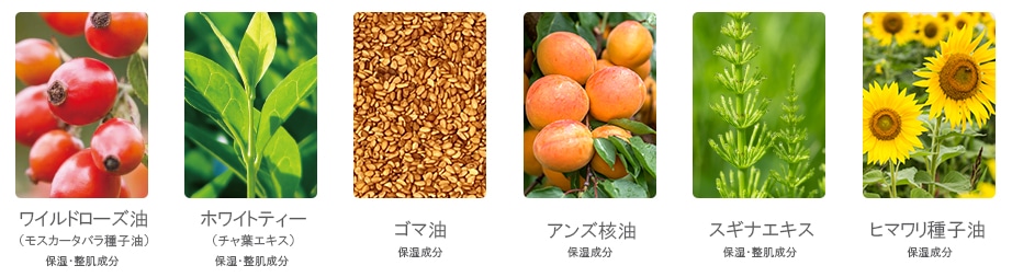 配合成分